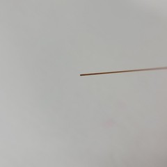Phenomenex Zebron 7MG-G001-17 ZB-1 Phase Gas Chromatography Capillary Column GC