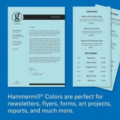 Hammermill Colored Paper, 20 lb Blue Printer Paper, 8.5 x 11-10 Ream (5,000 Shee
