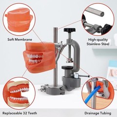 New Dental Simulator Mannequin Head Teeth Model Typodont Model &Teeth Mount Pole