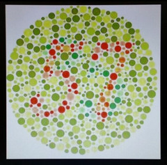 SNELLEN EYE CHART / DIGITAL VISUAL ACUITY SYSTEM made in the USA. No Monitor