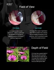 Surgical Head light with Magnifying Loupes for Dental and Ent with Led Headlight