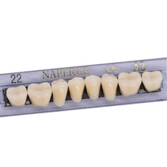 168Pc Dental Acrylic Resin Denture 22#A3 Full Set Teeth Upper Lower Shade Tooth