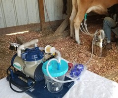 ULTIMATE EZ™ MILKER