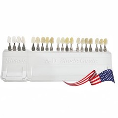 1/2 Set For VITA Classical Dental Shade Guide with Bleached Shades Clip New