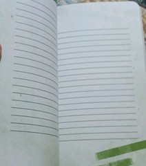 Balzer + Bray Find Your Voice, Make Some Noise Journal Illustrated