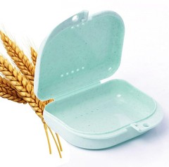LA MIERE Retainer Case Wheat Straw Denture Case, Standard, Celery Green