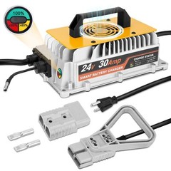 24 Volt 30A Forklift Battery Charger Single Phase Lead Acid Battery Fast Charger