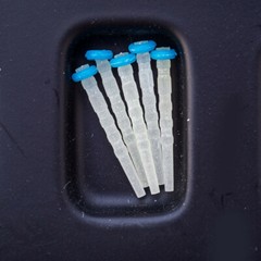 Dental Endo Fiber Posts Quartz root canal pins Resin Glass Screw Pile Posts 20Pc