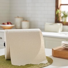 enMotion Paper Towel Hardwound Roll 1 Case(s) 1 Towels/ Case