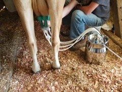 ULTIMATE EZ™ MILKER