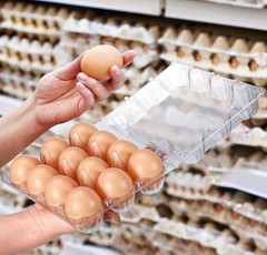 100 Packs Egg Cartons Cheap Bulk Plastic for 12 Eggs Clear Egg Cartons