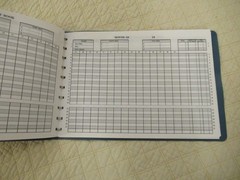 Dome Simplified Home Budget Book (Vintage)