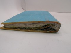 “Kayla’s Journal” A Journal From a Girl Who Was Born in 1990’s Storage Unit Find