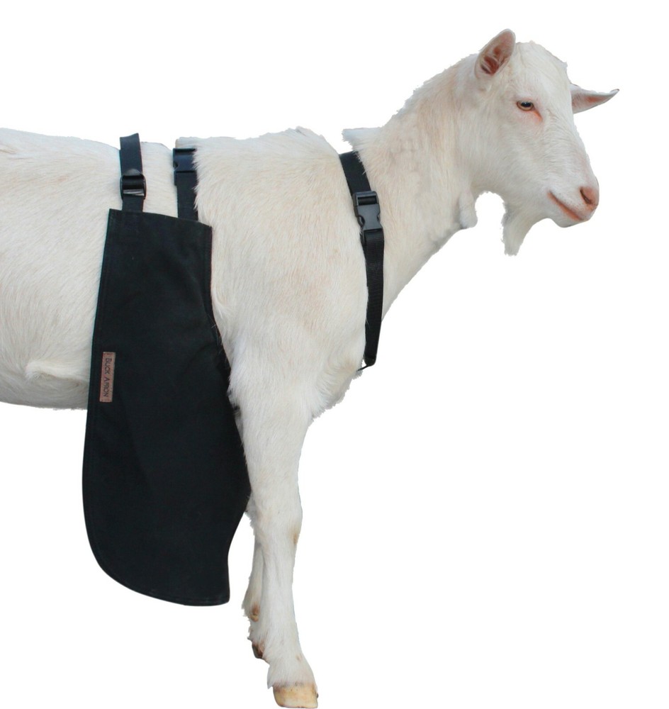 Anti Mating Anti Breeding OLOR Buck Apron™ with Harness – Goats/Sheep X-SMALL