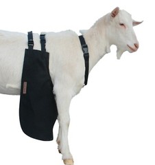 Anti Mating Anti Breeding OLOR Buck Apron™ with Harness – Goats/Sheep X-SMALL