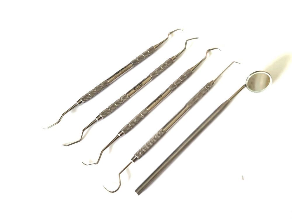 Set of Dental Pick & Mirror Tool Sculpture Instrument Oral Kit Tooth Teeth