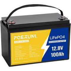 12V 100Ah LiFePO4 Lithium Battery 8000+ Deep Cycle BMS for Solar RV Off-grid NEW