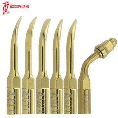 Woodpecker EMS Piezo Scaler Tip Dental Ultrasonic Handpiece HW-5L G1 G2 G4 P1 P3