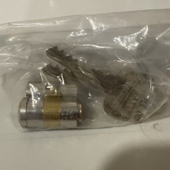 Sargent Assa Abloy Removable Core Large Format Cam Cylinder DG2630015 W/2keys B7