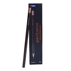 Pentonic Graphite Pencils HB2 Lead | Triangular Box Pack of 10 Pcs for School