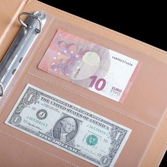 100 Sheets Currency Pages for Paper Money Collection 3 Pockets Currency Sleeve
