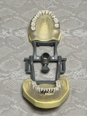 KM-C-210 Articulated Periodontal Soft Clear Gingival Typodont Model