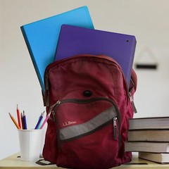 Purple 2 Inch Three Ring Binder Set Sustainable Organization and Customization