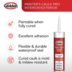 (4 Pack) 10.1 Fl Oz Painter’S Multi-Purpose Interior/Exterior Caulk Pro, Clear