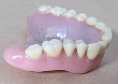 Dentures False Fake Teeth Upper Plate Dentist School Oddity Halloween Prop