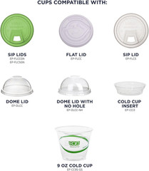 Greenstripe Clear Compostable 9Oz PLA Plastic Cups, Case of 1000, Disposable Ren