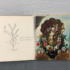 MMA Flowers for All Seasons Address Book Floral Art work