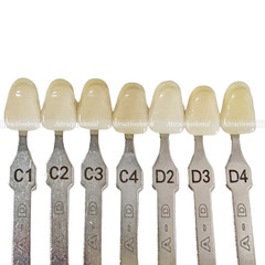 USA Dental Teeth Shade Guide Porcelain 20 Color A-D Tooth 4 Bleach Vivadent