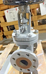 Samwoo KJS 2 Inch Gate Valve Class 300 API 623 WCB CR13 RF Flanged