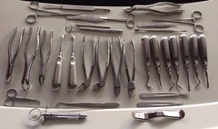 32 Pcs ORAL DENTAL EXTRACTION SURGERY EXTRACTING ELEVATORS FORCEPS INSTRUMENTS