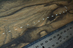 Ziricote Wood Veneer Sheet 7.5 x 45 inches 1/42nd 5944-25