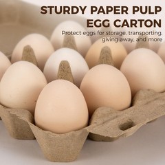 CINPIUK 100 Pack Egg Cartons, 3×4 Style Paper Pulp Egg Trays, Sturdy & Reusab…