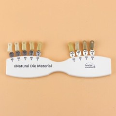 Ivoclar Vivadent Dental Shade Guide A-D 20 IPS Natural Die ND1-9 Bleach Teeth US