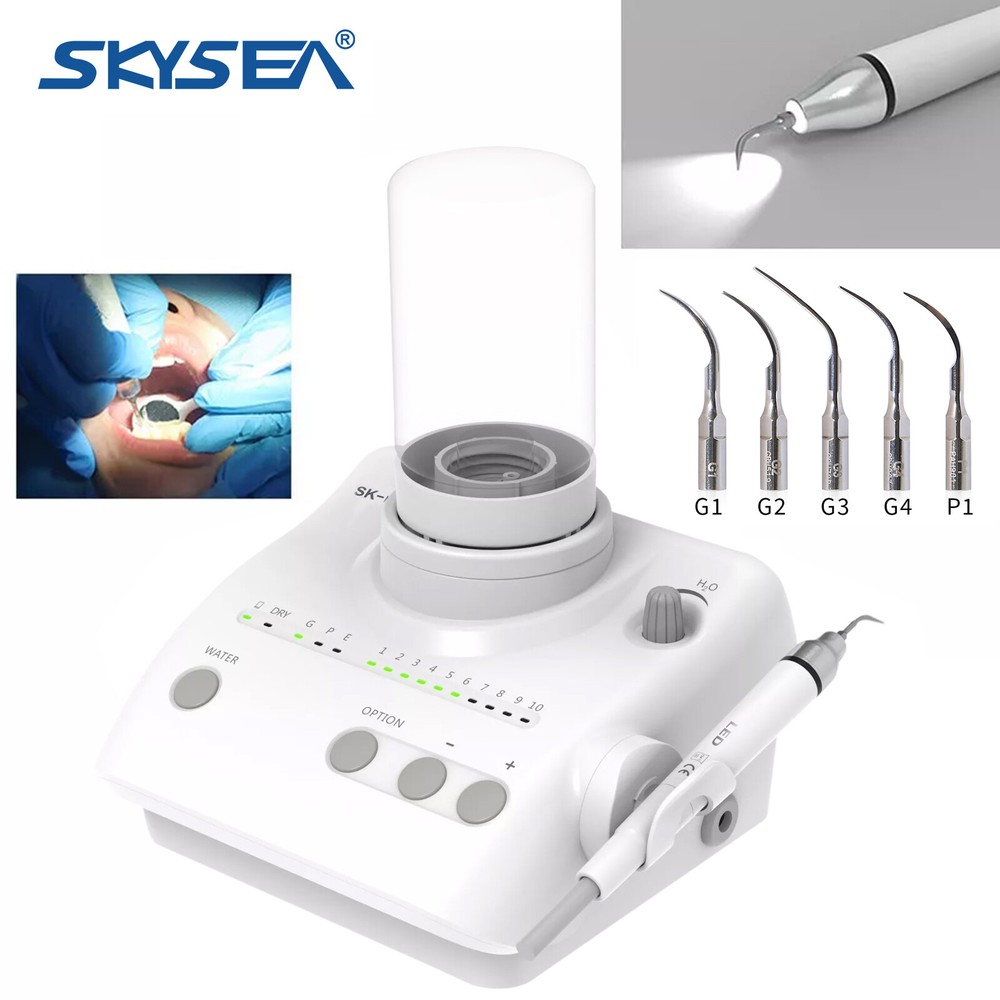 LED Dental Portable Ultrasonic Scaler 2*Bottles Fits EMS Woodpecker Handpiece US