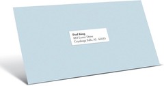 Office Depot Inkjet/Laser Labels 100 Sheets 30/Sheet 3000 White Avery 8460 5160