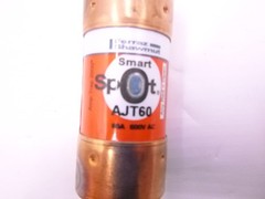 Mersen Ferraz Shawmut AJT60 60AMP 600V Class J Time Delay Indicating Fuse