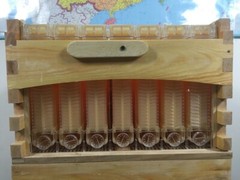 Comb Hive Frame Beehive 7PCS Upgraded Auto Honey Bee Hive Frames Beekeeping Hive