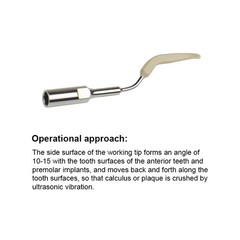 Ultrasonic Dental Scaler Tips Cleaning Implant Orthodontic Fit for SATELEC / DTE