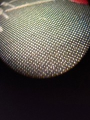 Circon ACMI M2 30°, 4mm