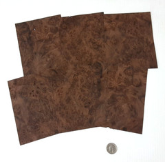 1 Lot Of 6pcs Walnut Burl Raw Veneer Shorts, Lot #381