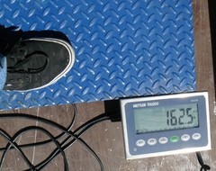 Mettler Toledo Floor Scale PFA261 36″ X 36″ X 4.5″ high + IND236 + ramp [H7B]