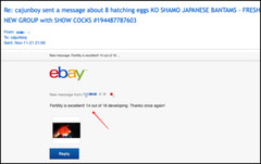 9 – KO SHAMO BANTAM EGGS VERY FRESH SUPERB QUALITY these will Ship 2day FedEx