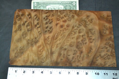 Camphor Burl Raw Wood Veneer Sheet 7 x 12 inches 1/42nd thick 4672-78