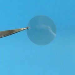Mica Transparent Round Foil Plate 0.07mm – 0.2mm Clear Thin Disc 10mm – 65mm