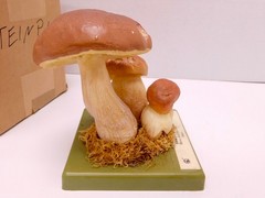 VTG SOMSO Steinpilz Mushroom Educational Model Germany Herrenpilz Stone w Box