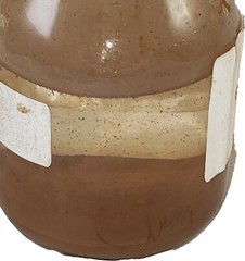 GeneNano Silica Brown Magnetic beads about 300 nm for DNA/RNA extraction